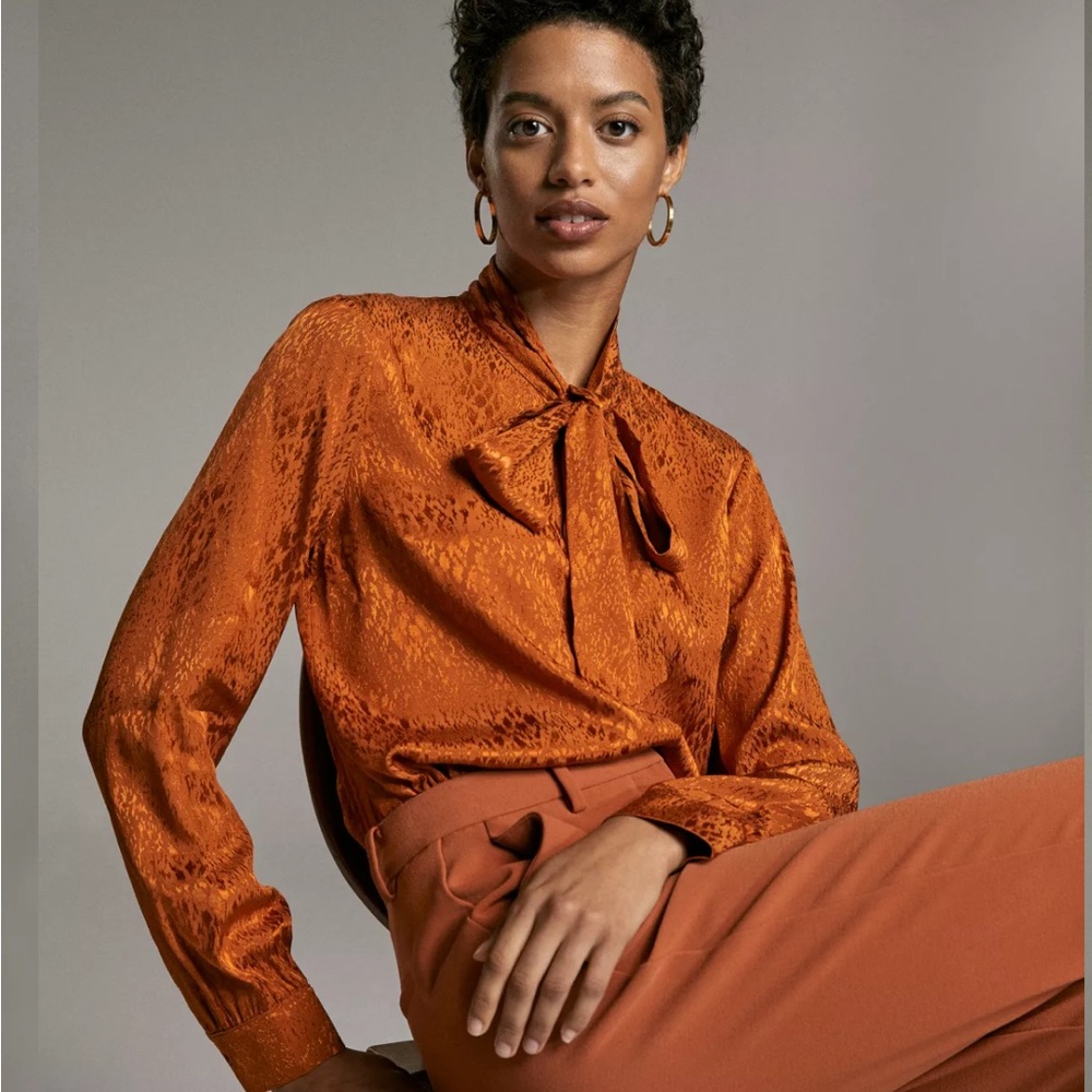 ARITZIA Babaton Vandelay Blouse